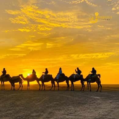 Marrakech Palmeraie Camel Ride with Tea