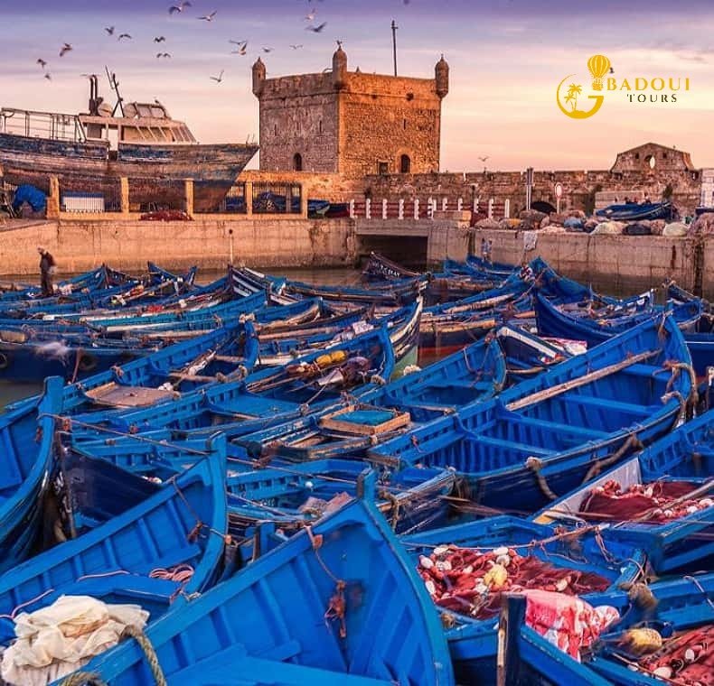 Essaouira Full-Day Trip from Marrakech